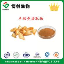 紫河車與羊胎盤素 傳統與現代交融的天然健康選擇